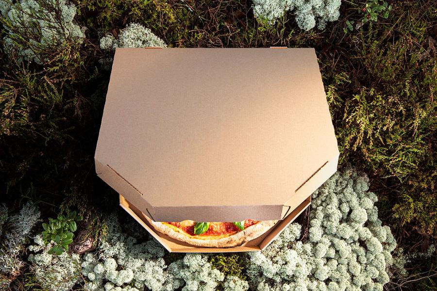 Pizza in a corrugated box in nature.