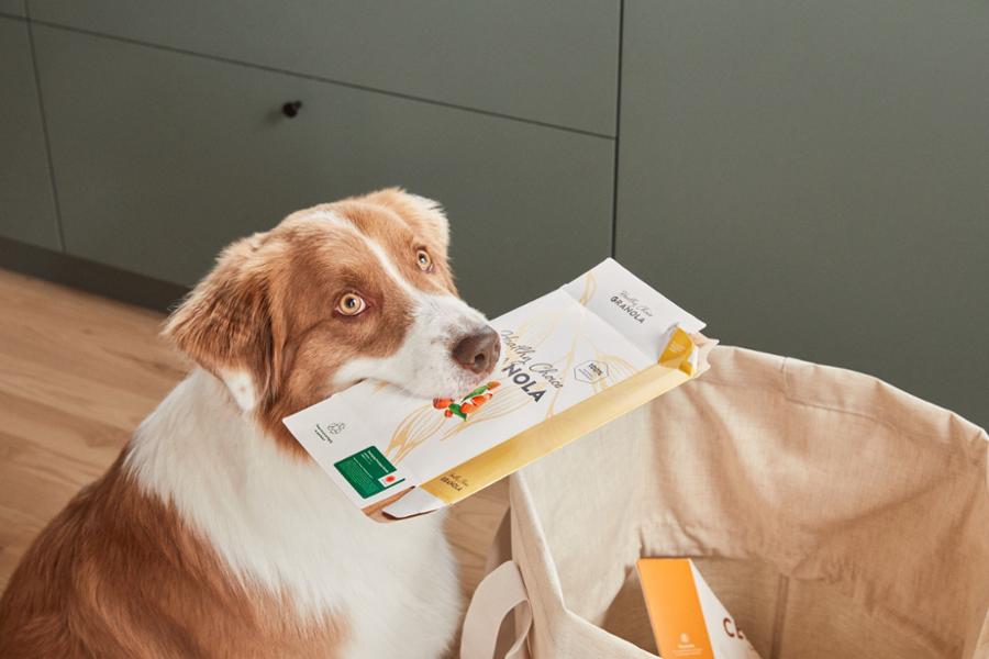 Dog holding recycled packaging in his mouth.
