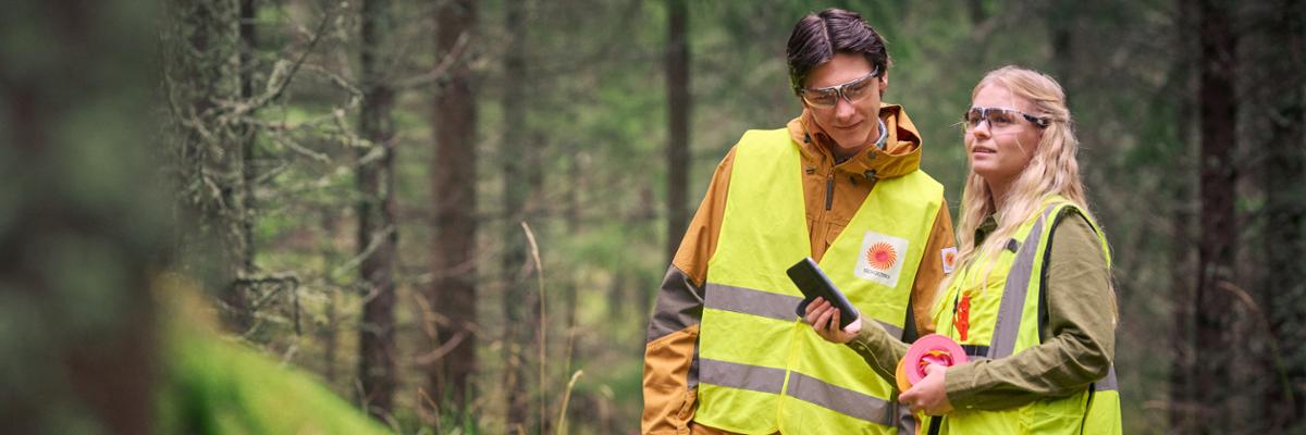 Anställda i skogen