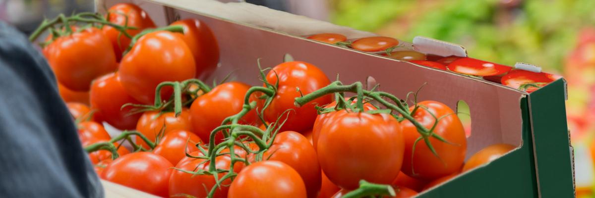 Tomatoes in a corrugated box.