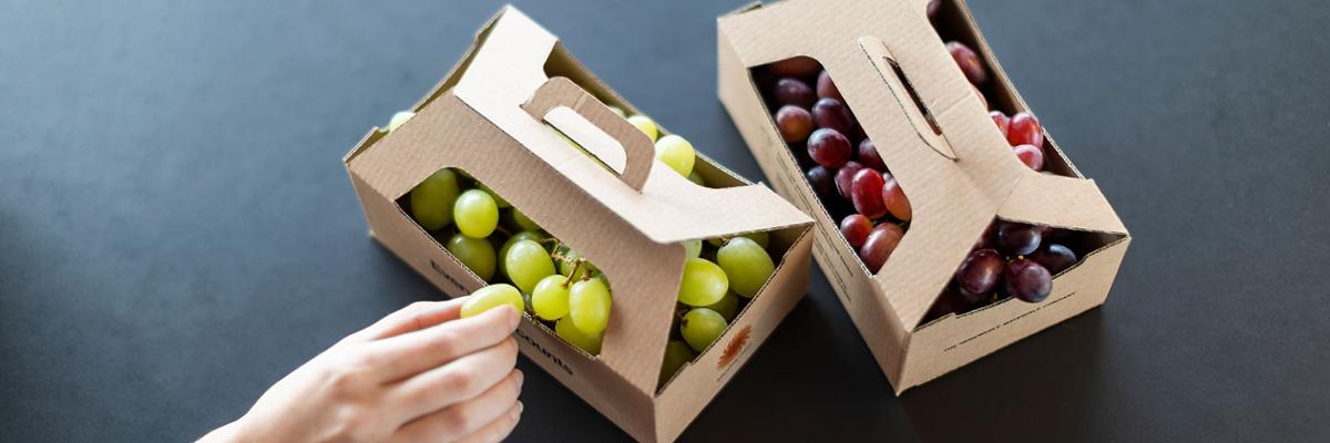Fruit in boxes