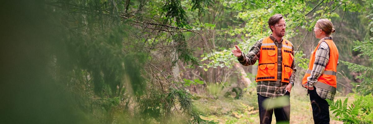 Two persons talking in the forest.