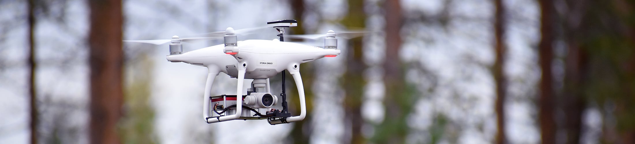 Drone in a forest