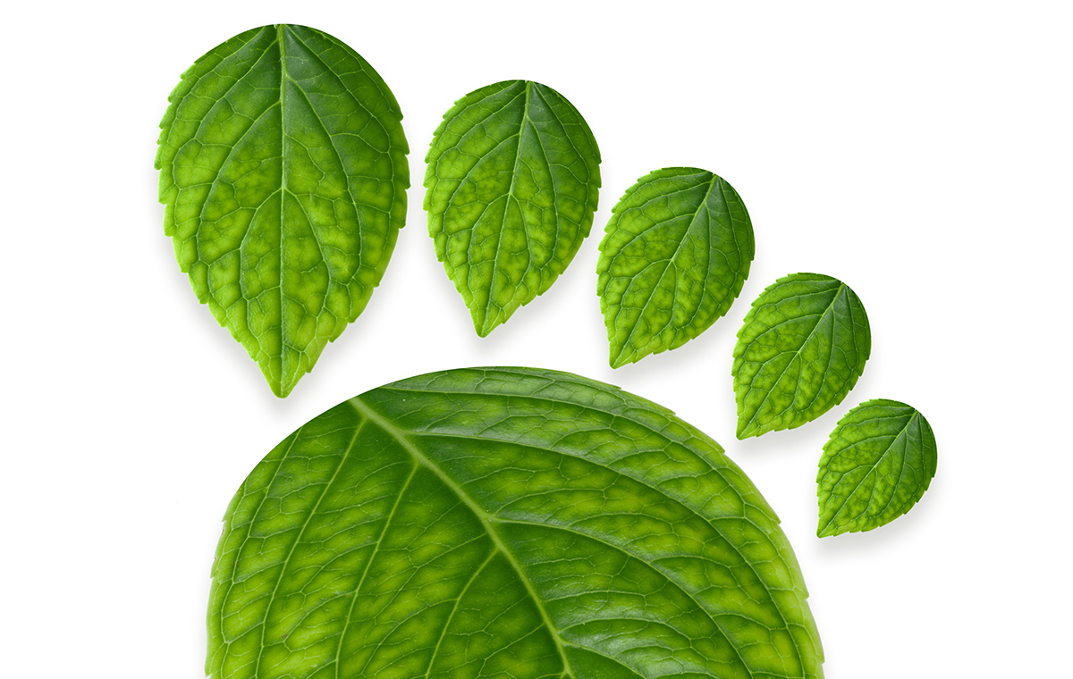 Carbon footprint, handprint and neutrality what and how? Podcast Stora Enso