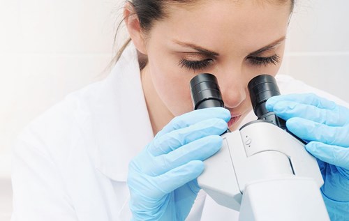 Looking into a microscope