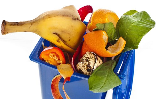 Food waste in bin