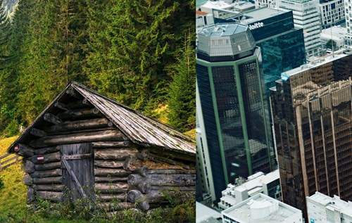 Urbanisation and forests side by side