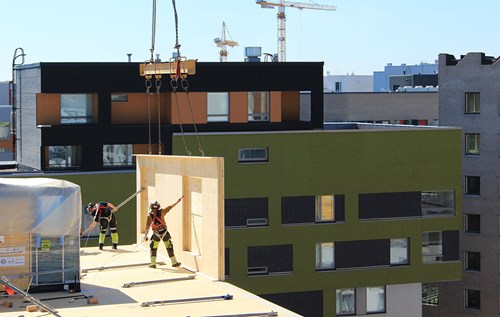 Builders on a wooden building site