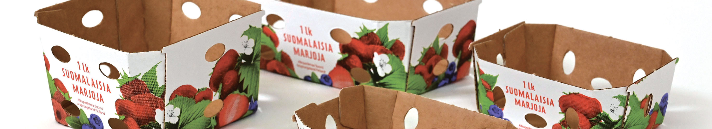 strawberry boxes 2200x400
