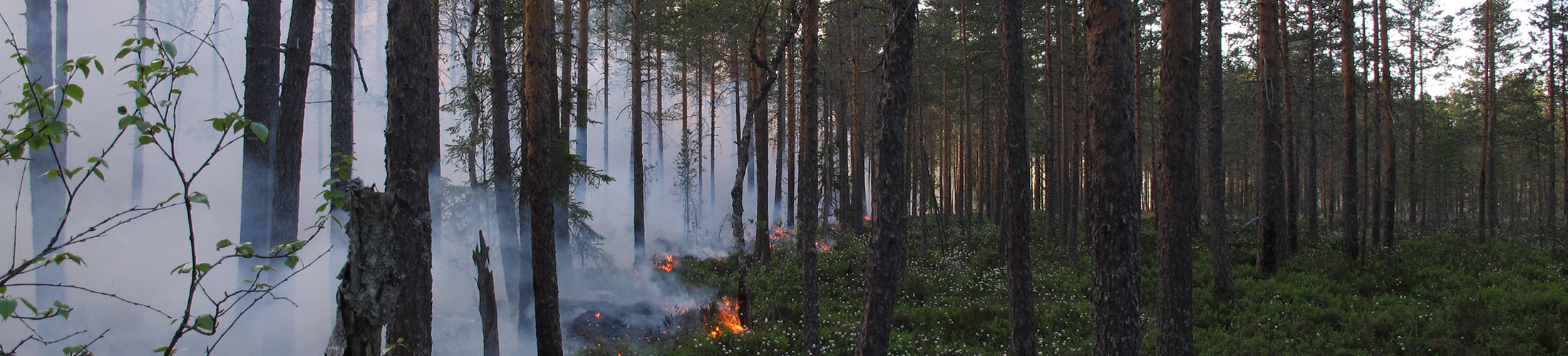 Controlled burning