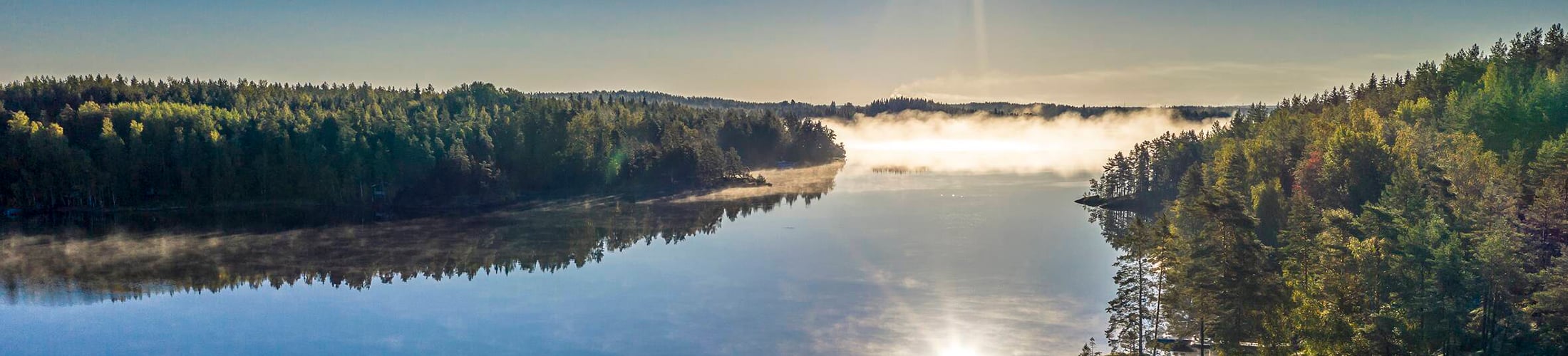 Lake and forest in sunshine