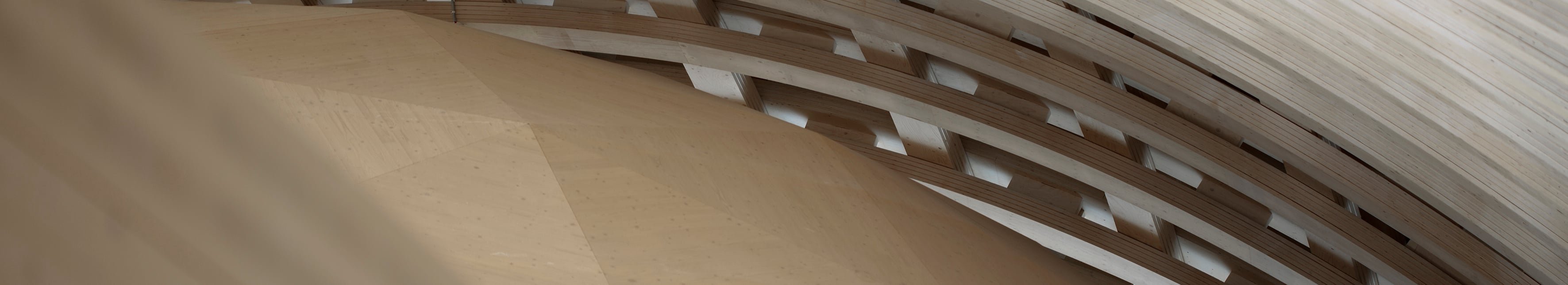 Wisdome Stockholm roof structure