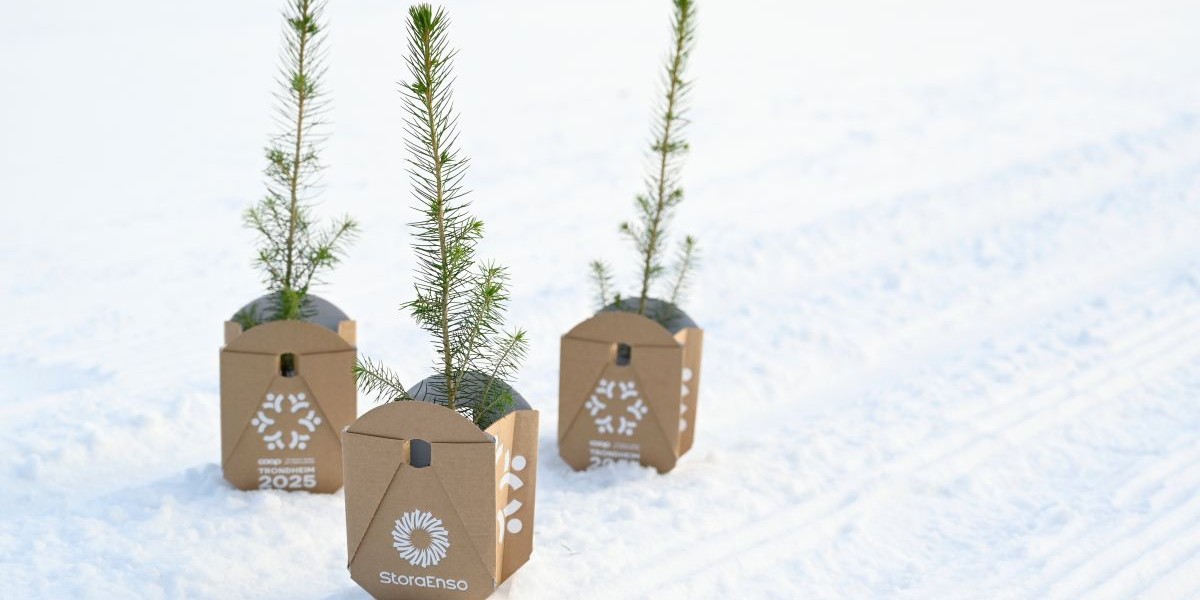 Stora Enso becomes Premium Partner at the FIS Nordic World Ski Championships 2027 in Falun, Sweden  