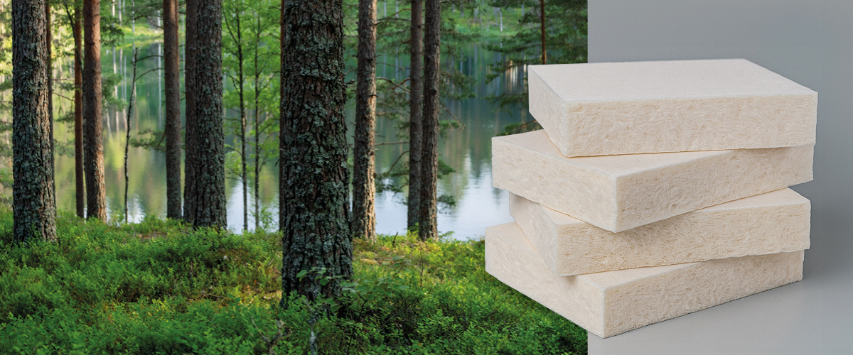 Tress in a forest with wood foam