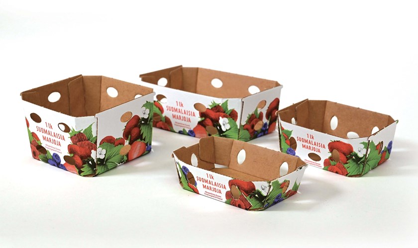 strawberry boxes 840x500