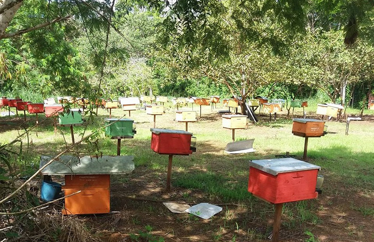 Beehives in Veracel