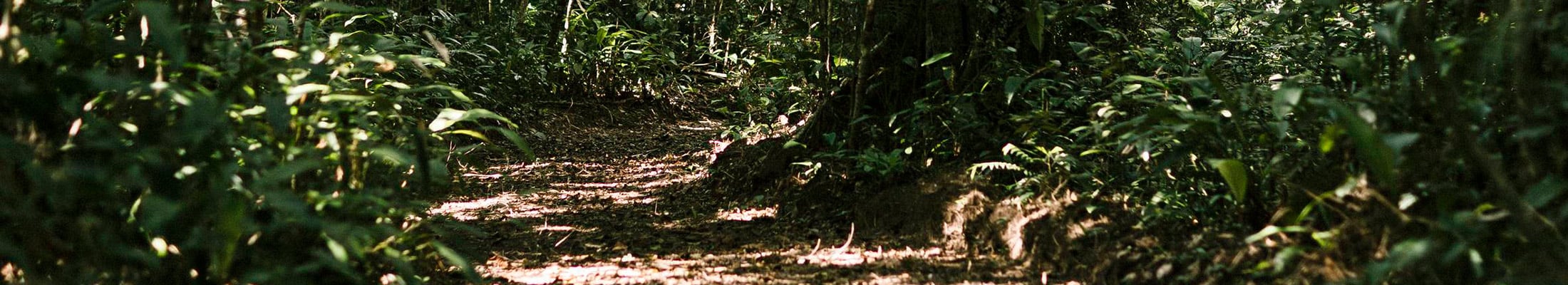 Porto Seguro