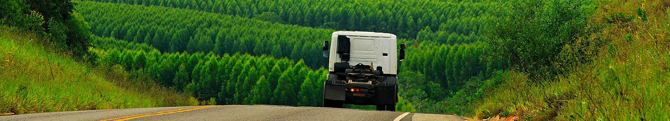 Truck on the road