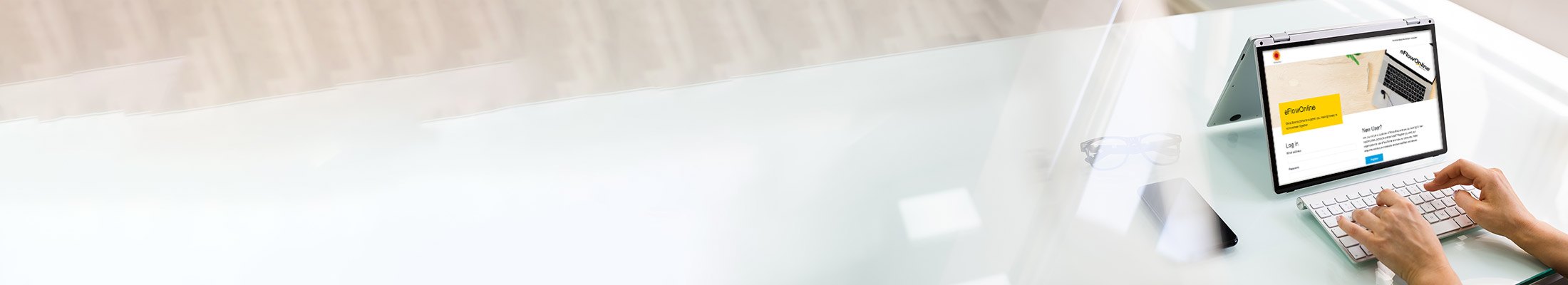 User logging in to eFlowOnline service
