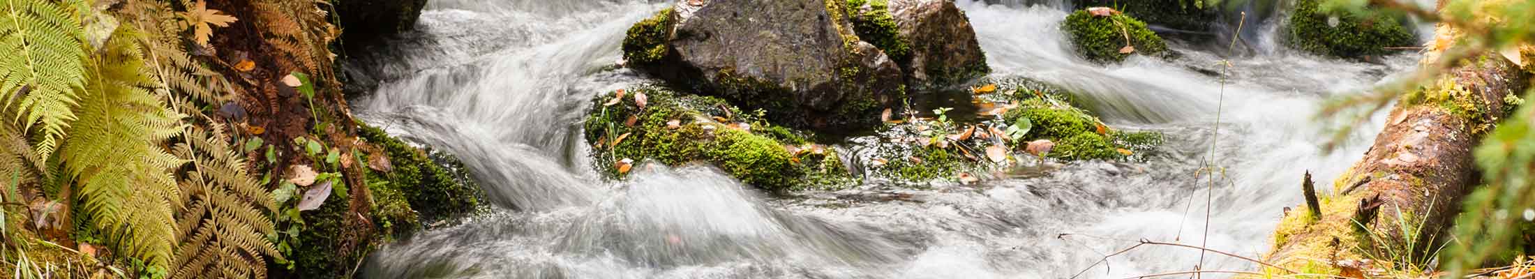 Water stream