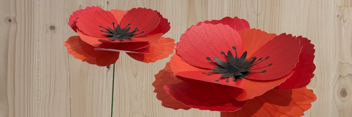 Paper poppies.