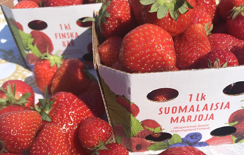 Achieving the right shade of red print is important to Pakkasmarja. The colours of the strawberry box designed by Juho Viironen of Packlab reproduce correctly on EcoFreshBox.
