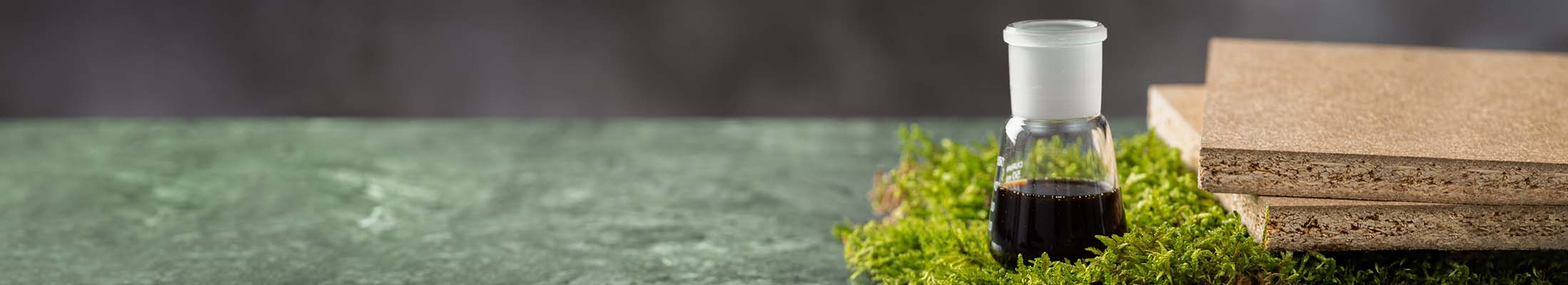 NeoLigno Banner