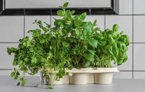 PureFiber™ can be used to replace plastic consumables e.g. in agriculture such as trays for herbs