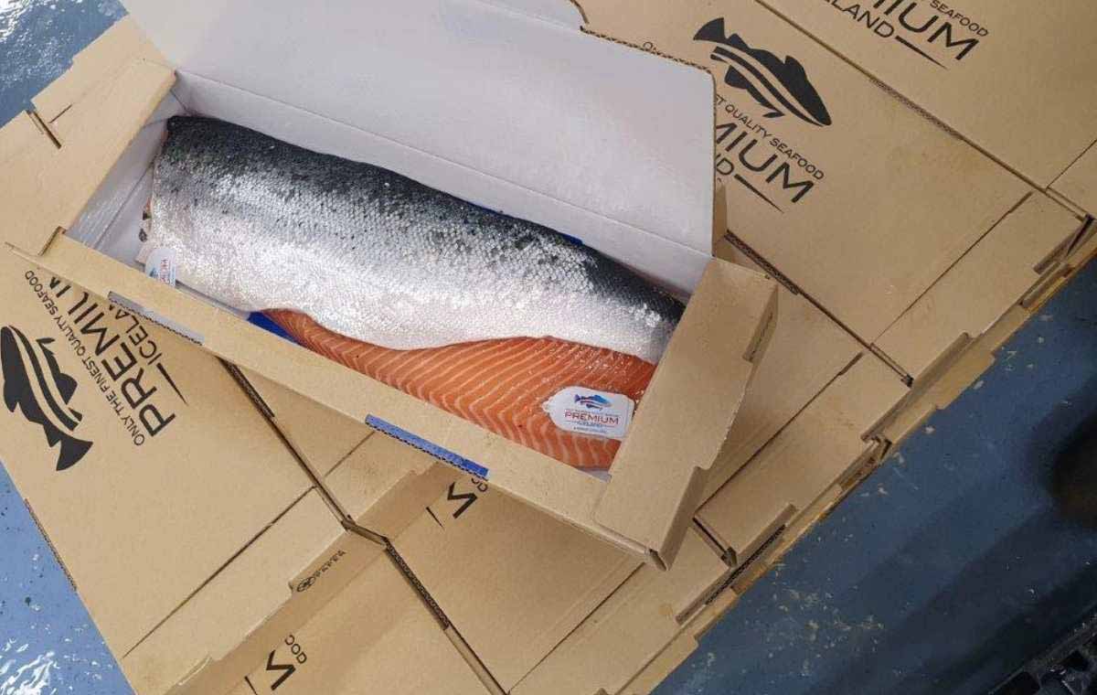 Premium of Iceland förpackar sin fisk i EcoFishBox-lådor