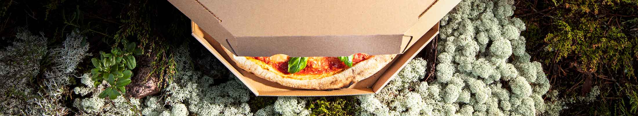 Pizza corrugated packaging