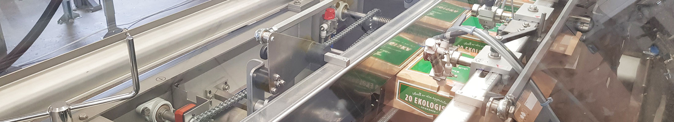 Eggs on packaging line
