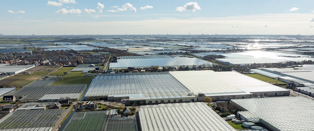 Luchtfoto van kassen