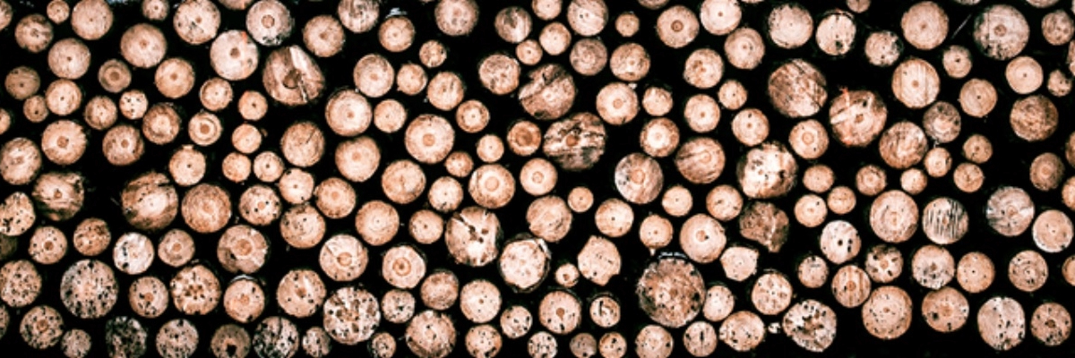 Log pile