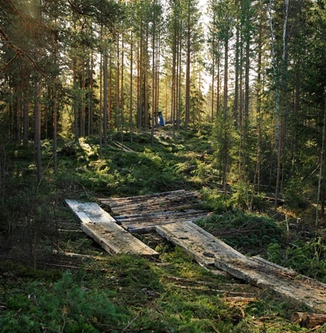 Bridge to protect forest soil and water