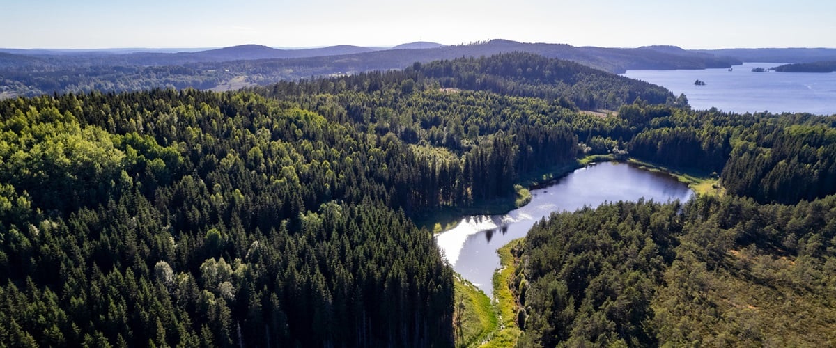 Aerial shot of forest and lakes